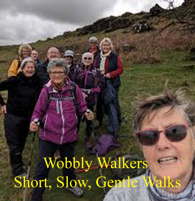 Walkers (Wobbly) second image